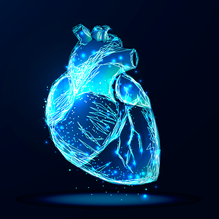 Siller-Matula. Herz. Kardiologie. Personalisierte und geschlechtsspezifische Beratung und Behandlung der Erkrankungen aus dem Fachgebiet der Inneren Medizin mit Spezialgebiet Kardiologie ist mein Markenzeichen.